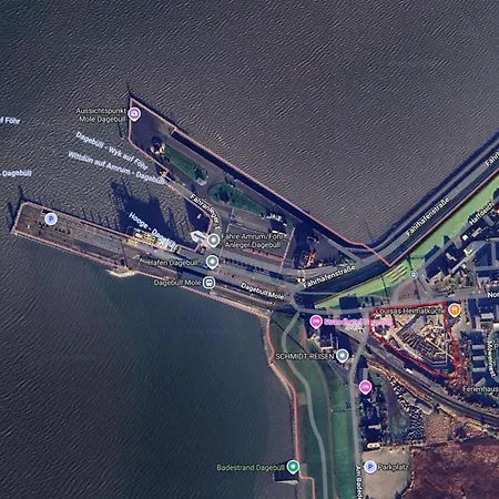 Theviewc06 Strandflieder Dagebüll