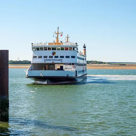 Theviewc06 Strandflieder Dagebüll